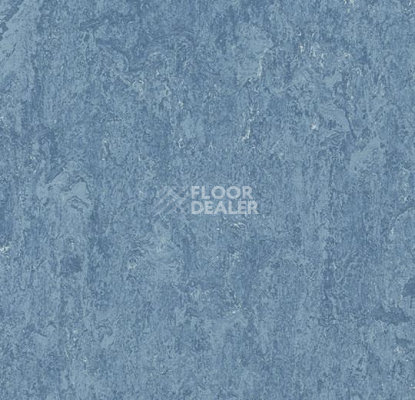 Линолеум Forbo Marmoleum Marbled Authentic 3055 fresco blue фото 1 | FLOORDEALER